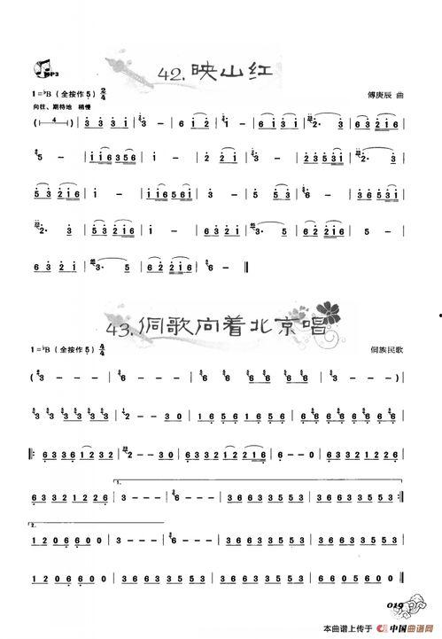 映山红葫芦丝教学视频